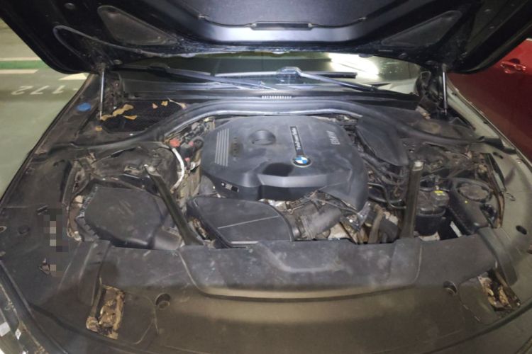 Used BMW 7 Series 2018 730Li Luxury Edition M Sport Package Engine Bay