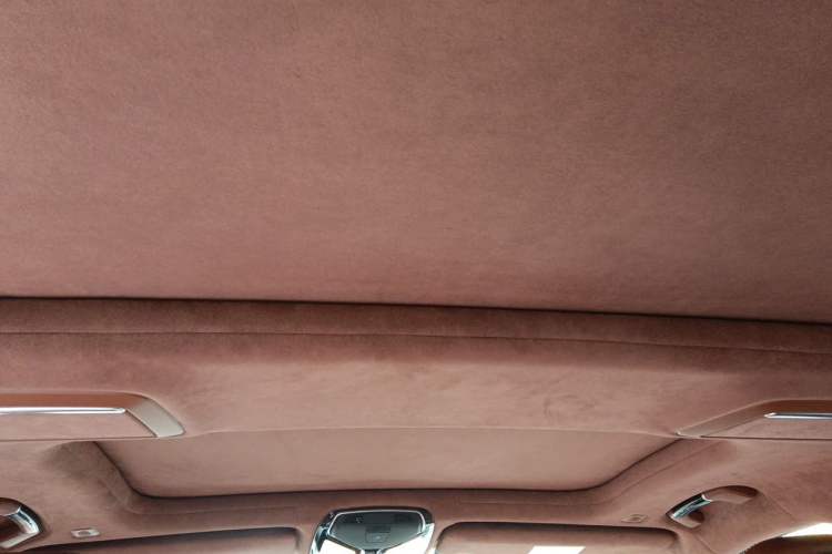 Used BMW 7 Series 2018 740Li xDrive Luxury Edition Excellence Package Headliner