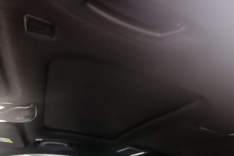 Used BMW 7 Series 2018 730Li Leading Model M Sport Package Headliner