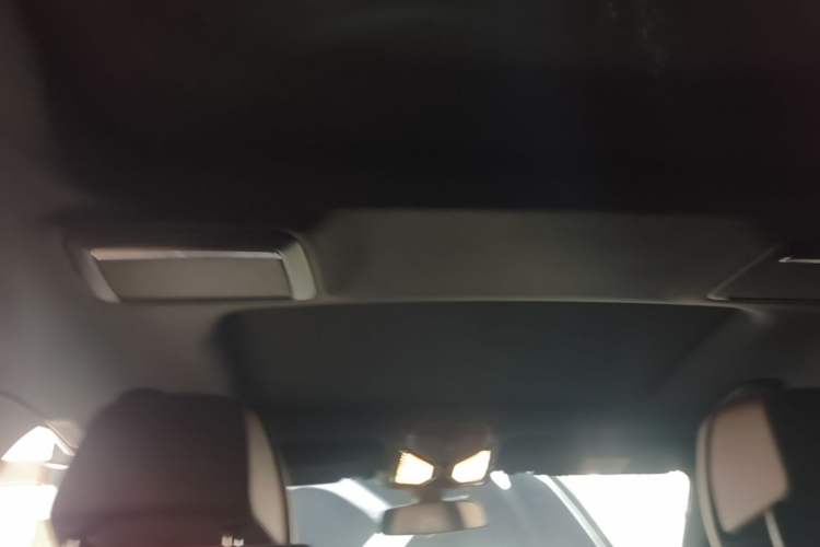 Used BMW 7 Series 2018 730Li Leading Model M Sport Package Headliner