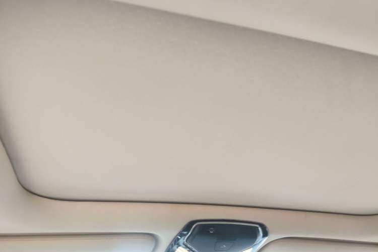 Used BMW 7 Series 2018 730Li Luxury Model Excellence Package Headliner