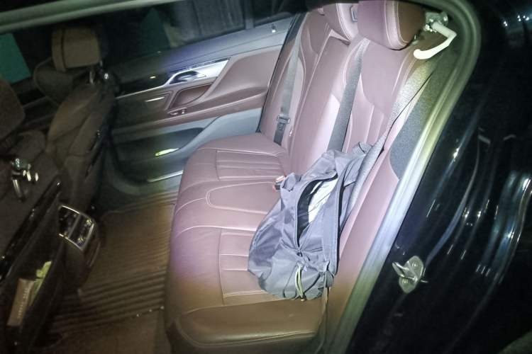 Used BMW 7 Series 2018 730Li Leading Model M Sport Package Left Rear Seat