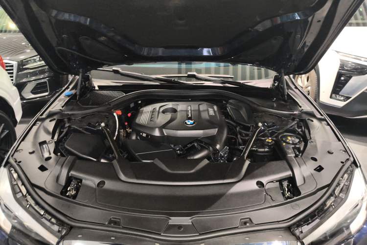 Used BMW 7 Series 2018 730Li Leading Model Excellence Package Engine Bay
