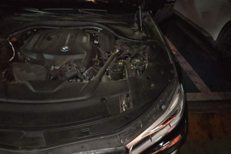 Used BMW 7 Series 2018 730Li Luxury Edition M Sport Package Engine Bay Left
