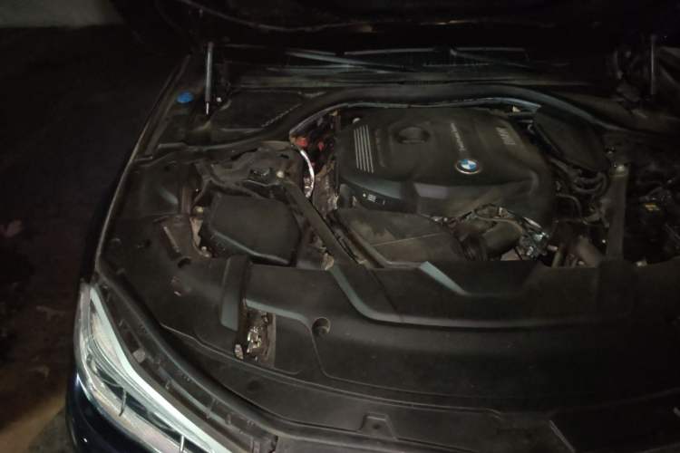 Used BMW 7 Series 2018 730Li Luxury Edition M Sport Package Engine Bay Right