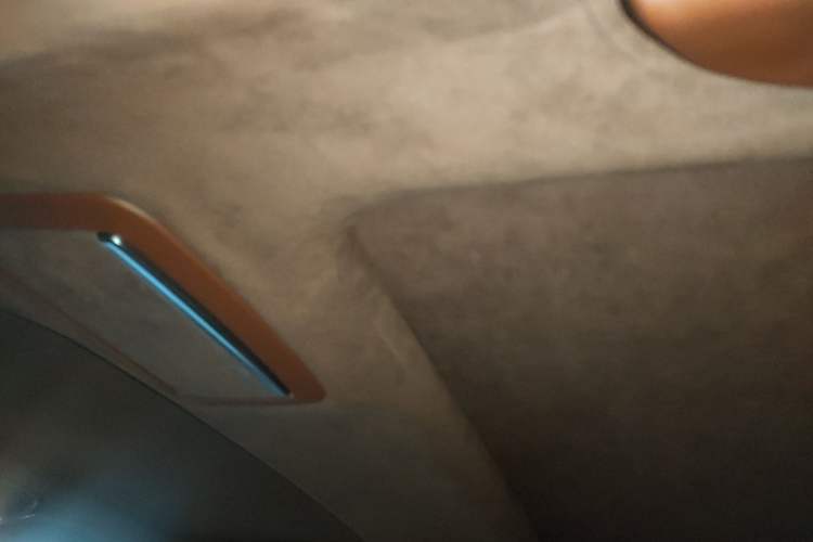 Used BMW 7 Series 2018 750Li xDrive M Sport Package Headliner