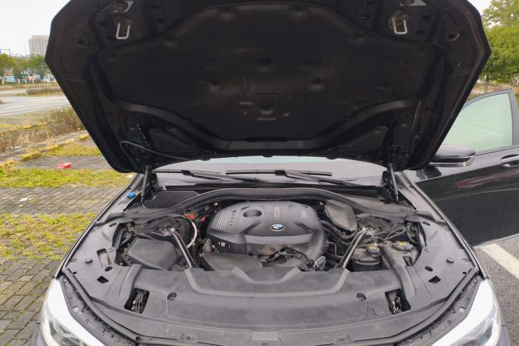 Used BMW 7 Series 2018 730Li Leading Model M Sport Package Engine Bay