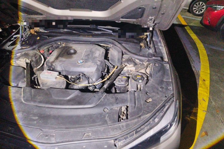 Used BMW 7 Series 2018 730Li Leading Model Excellence Package Engine Bay Left