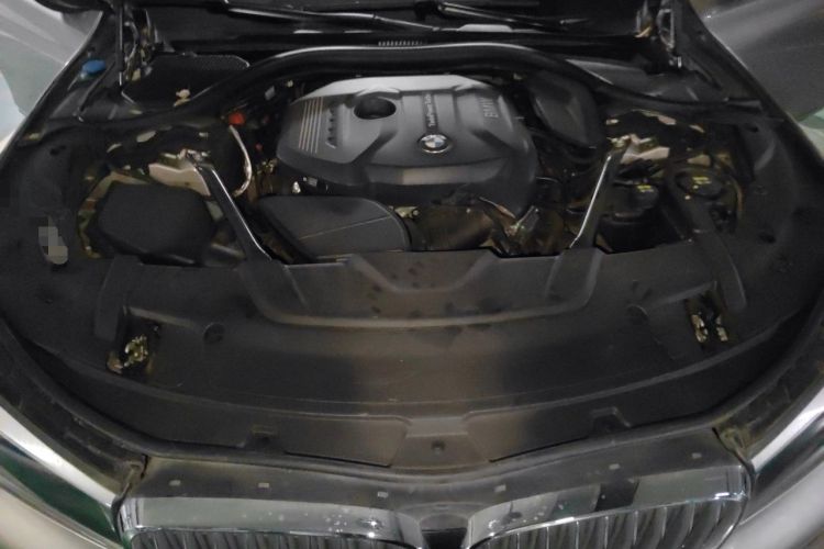 Used BMW 7 Series 2018 730Li Leading Model Excellence Package Engine Bay