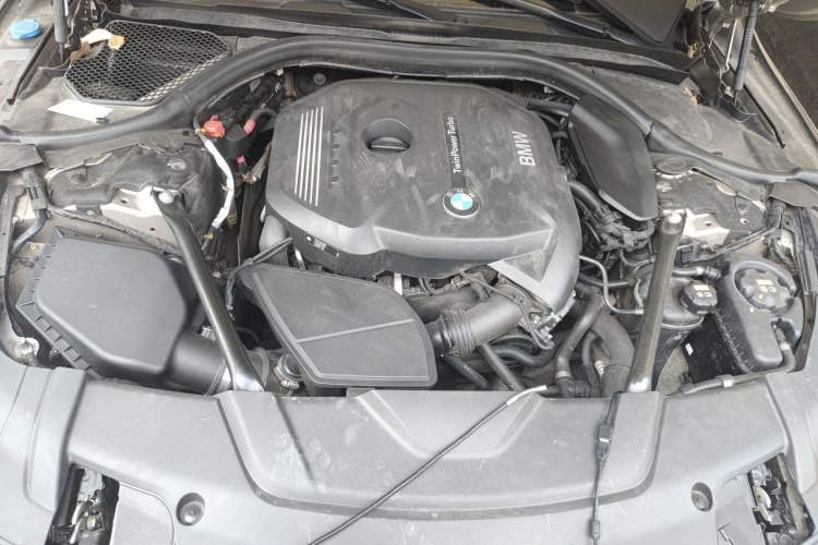 Used BMW 7 Series 2018 730Li Luxury Model Excellence Package Engine Bay