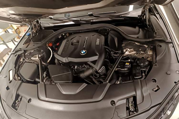 Used BMW 7 Series 2018 730Li Leading Model Excellence Package Engine Bay