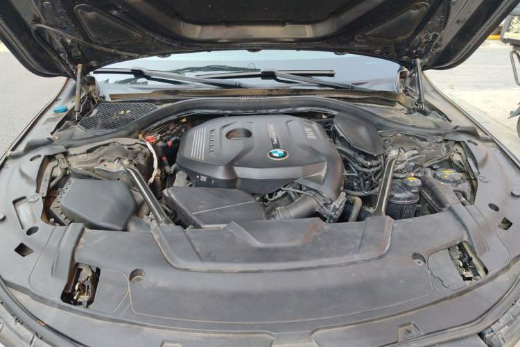 Used BMW 7 Series 2018 730Li Leading Model Excellence Package Engine Bay