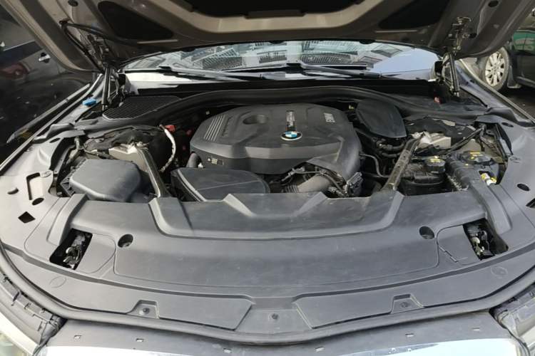 Used BMW 7 Series 2018 730Li Leading Model Excellence Package Engine Bay
