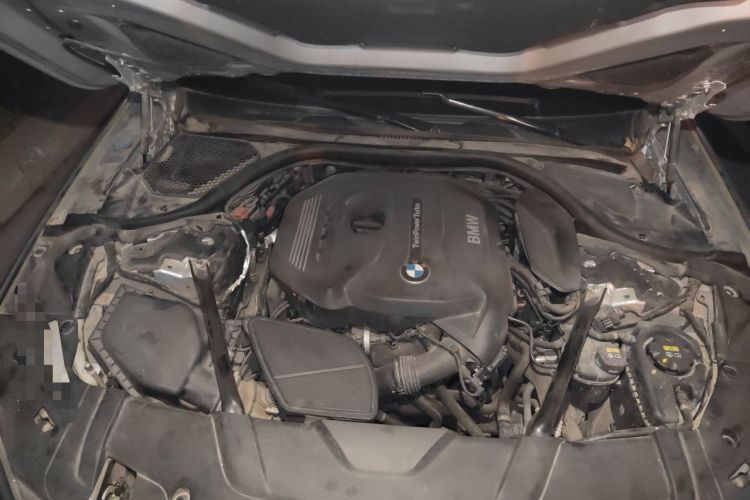 Used BMW 7 Series 2018 730Li Luxury Edition M Sport Package Engine Bay
