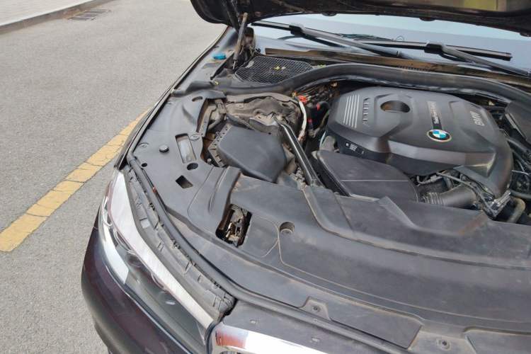 Used BMW 7 Series 2018 730Li Leading Model Excellence Package Engine Bay Right