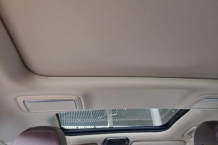 Used BMW 7 Series 2018 730Li Leading Model Excellence Package Headliner