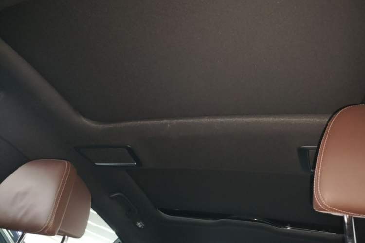 Used BMW 7 Series 2018 730Li Luxury Edition M Sport Package Headliner