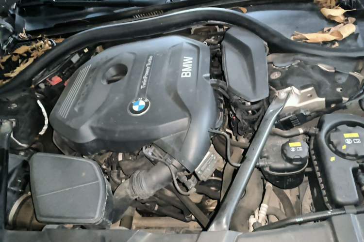 Used BMW 7 Series 2018 730Li Leading Model Excellence Package Engine Bay Left