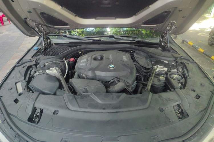 Used BMW 7 Series 2018 730Li Luxury Model Excellence Package Engine Bay