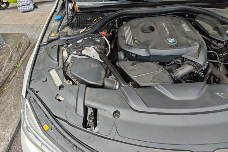 Used BMW 7 Series 2018 730Li Luxury Edition M Sport Package Engine Bay Right