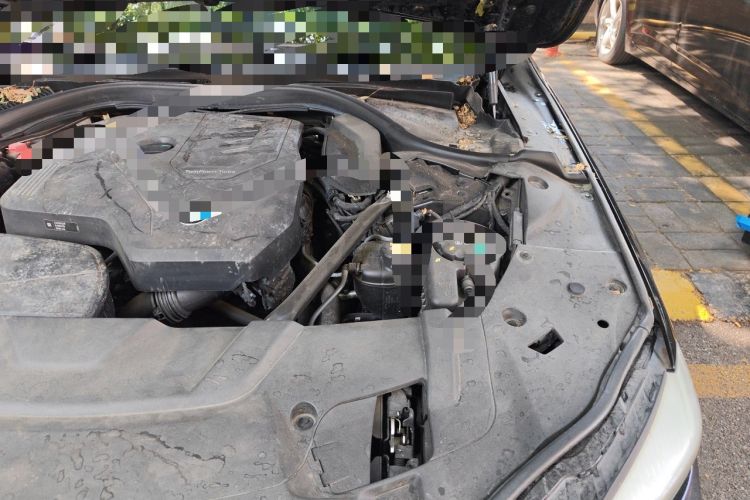 Used BMW 7 Series 2019 Updated 730Li Luxury Package Engine Bay Left