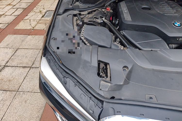 Used BMW 7 Series 2019 730Li Luxury Package Engine Bay Right