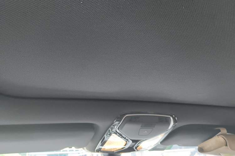Used BMW 7 Series 2019 730Li M Sport Package Headliner