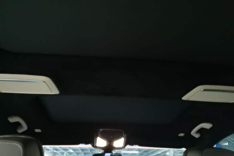 Used BMW 7 Series 2019 Restyled 740Li Leading Luxury Package Headliner