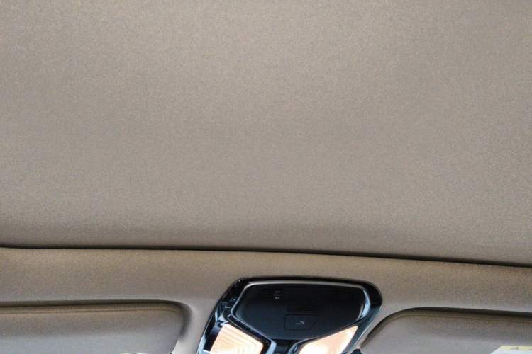 Used BMW 7 Series 2019 730Li Luxury Package Headliner
