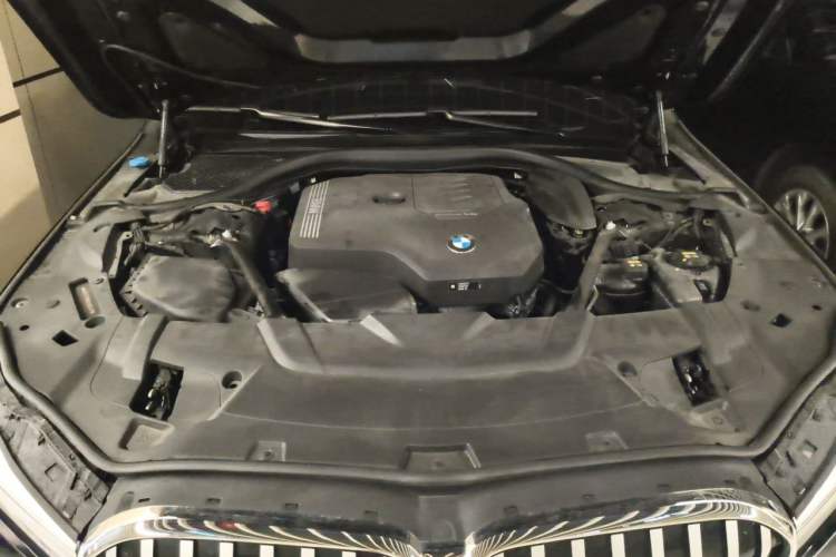 Used BMW 7 Series 2019 730Li M Sport Package Engine Bay
