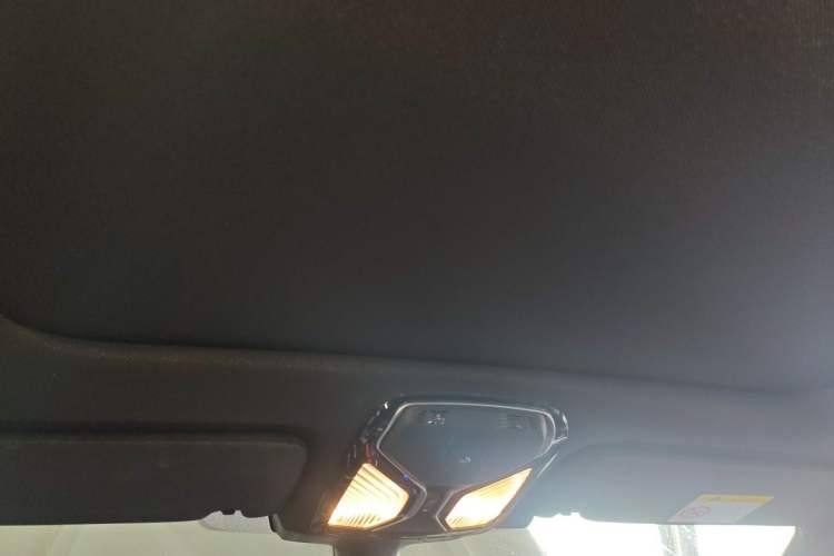 Used BMW 7 Series 2019 740Li Leading Model M Sport Package Headliner