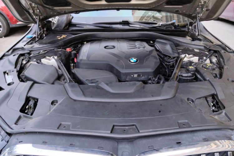 Used BMW 7 Series 2019 730Li Luxury Package Engine Bay
