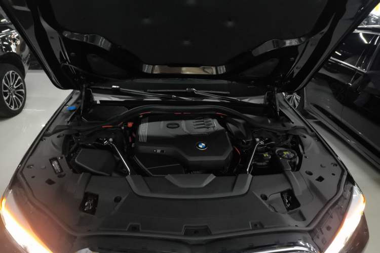 Used BMW 7 Series 2021 730Li M Sport Package Engine Bay