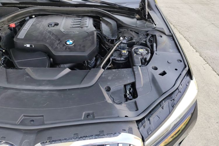 Used BMW 7 Series 2021 730Li Luxury Package Engine Bay Left