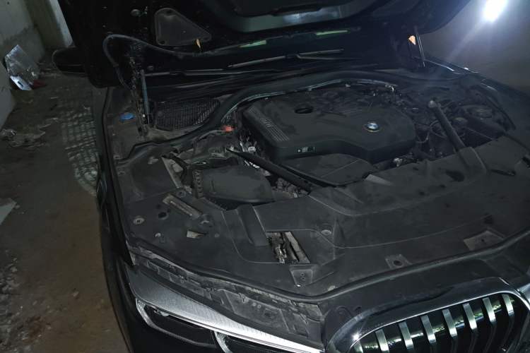 Used BMW 7 Series 2021 730Li Luxury Package Engine Bay Right