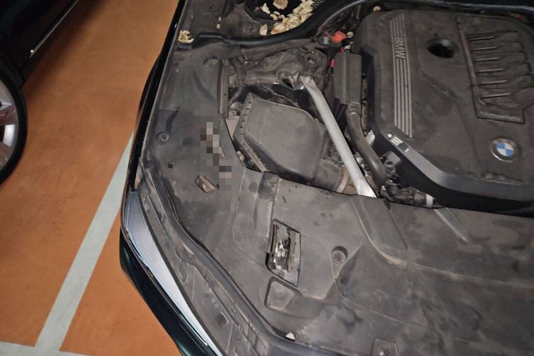 Used BMW 7 Series 2021 740Li Leading Edition Luxury Package Engine Bay Right