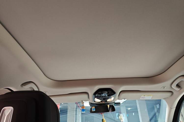 Used BMW 7 Series 2023 735Li Luxury Package Headliner