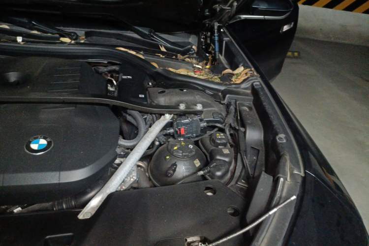 Used BMW 7 Series 2023 735Li M Sport Package Engine Bay Left