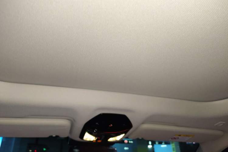 Used BMW 7 Series 2023 735Li Luxury Package Headliner