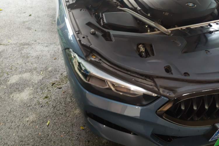 Used BMW 8 Series 2019 840i xDrive 4-Door Gran Coupe M Sport Package Right Front Headlight