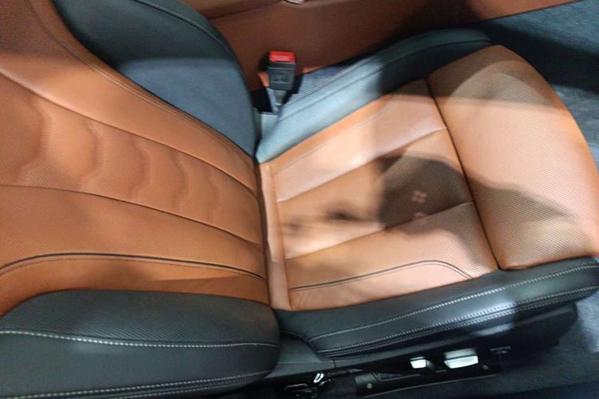 Used BMW 8 Series 2019 840i 4-Door Gran Coupe M Sport Package Right Front Seat