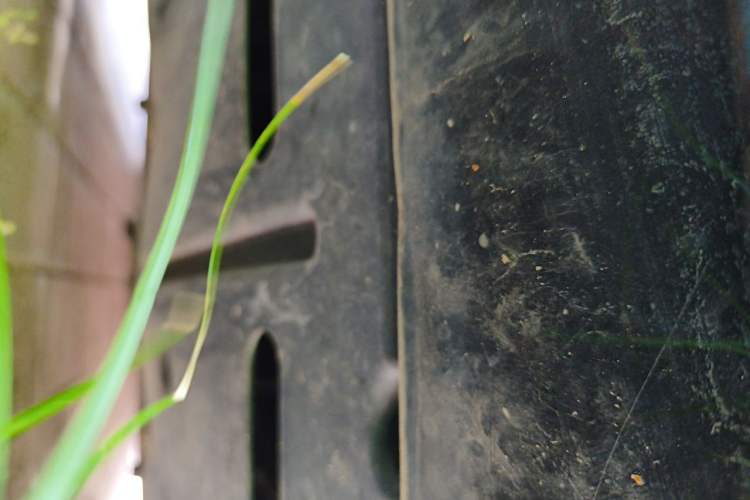 Used BMW i3 2015 Fashion Model Chassis Rear