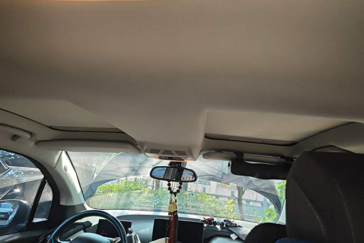 Used BMW i3 2018 Luxury Model Headliner