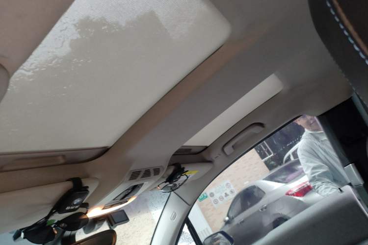 Used BMW i3 2018 Luxury Model Headliner