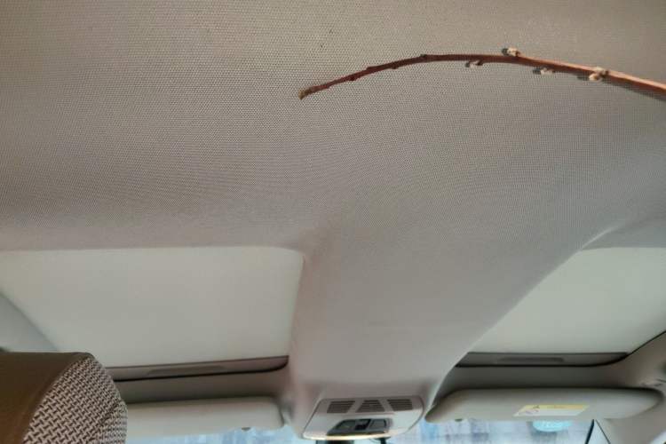 Used BMW i3 2018 Luxury Model Headliner