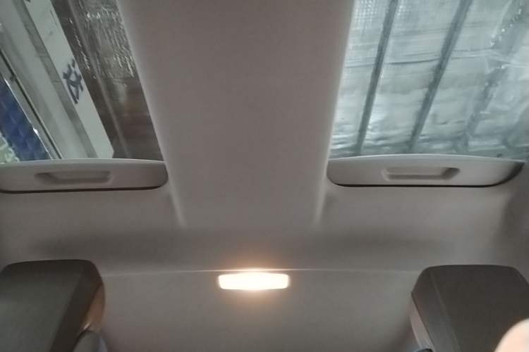 Used BMW i3 2018 Luxury Model Headliner
