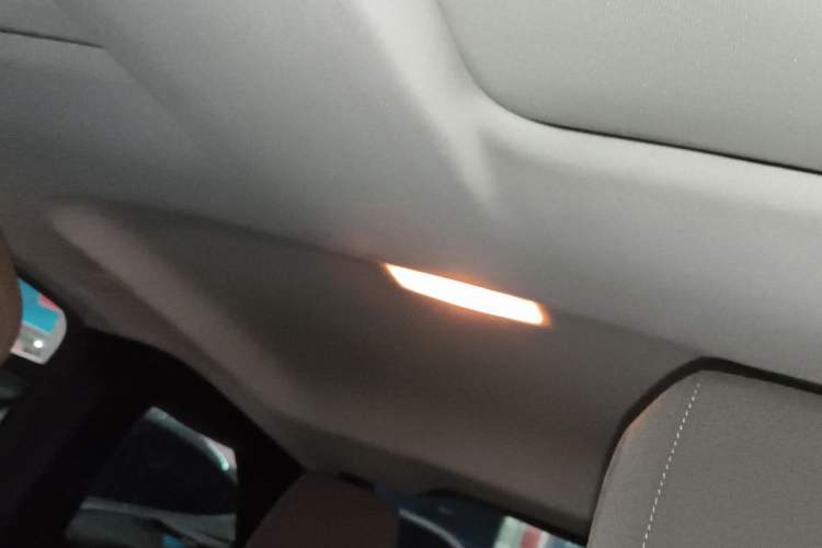 Used BMW i3 2019 Fast Charging Edition Headliner