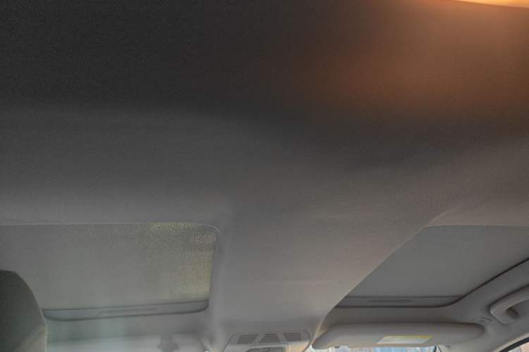 Used BMW i3 2019 Fast Charging Edition Headliner