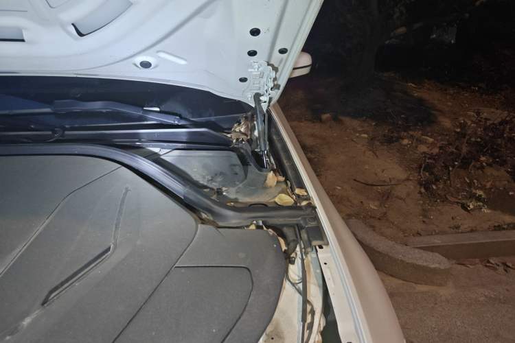 Used BMW i3 2022 eDrive 35 L Engine Bay Left