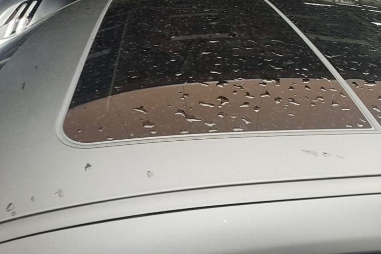Used BMW i3 2024 eDrive 35 L Roof